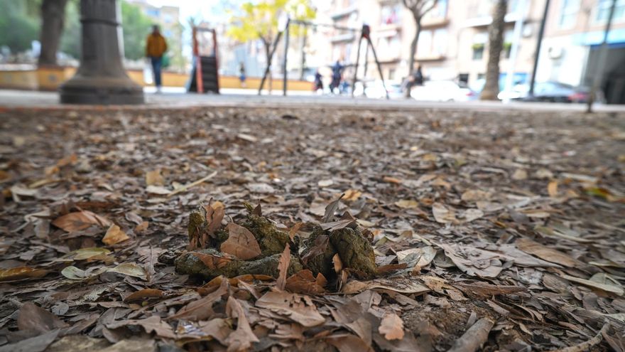 Un parque de Elche cercado por micciones humanas y cacas de perro