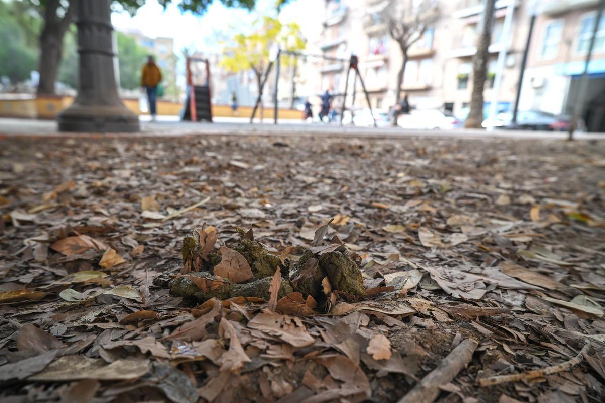 Los vecinos del parque 9 d'Octubre se quejan de que las cacas de mascotas son más que frecuentes por la zona