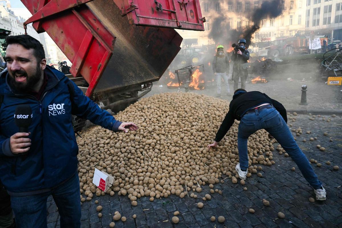 Varios manifestantes recogen patatas frente al Parlamento Europeo en una protesta de Copa-Cogeca.