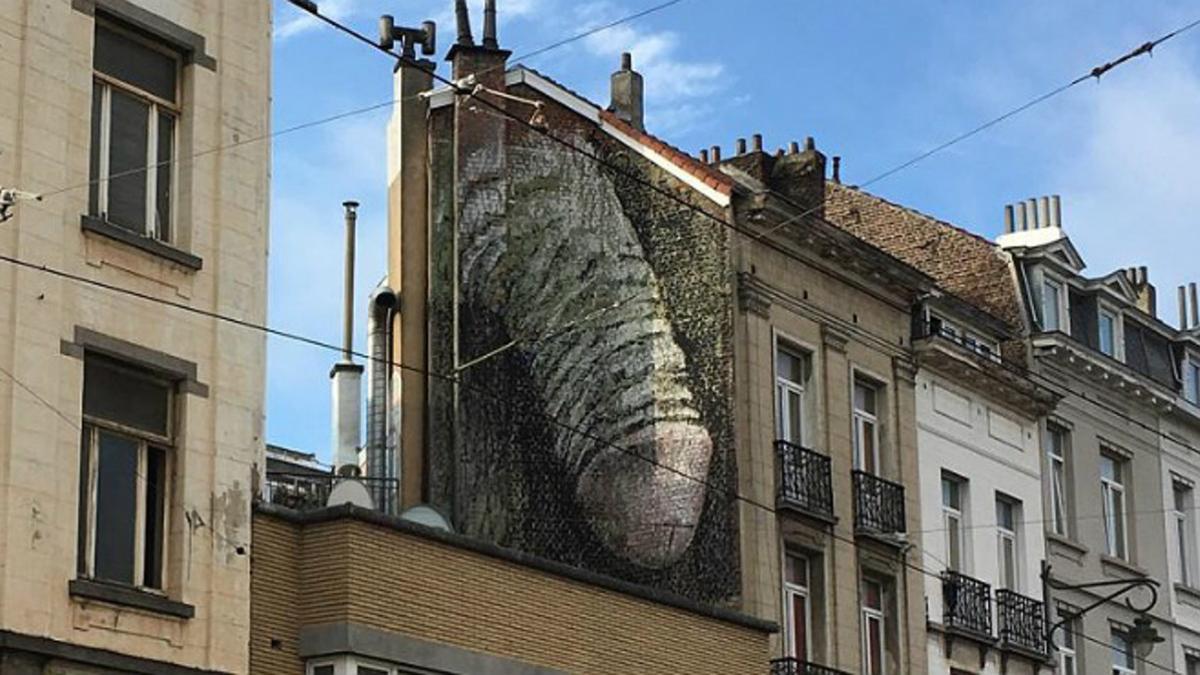 Un mural de un enorme pene ha aparecido de la nada en el centro de Bruselas.