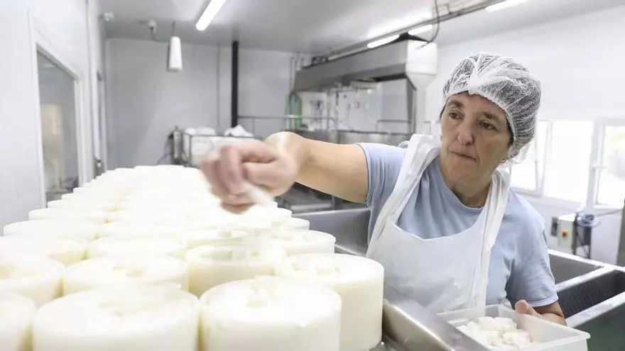 VÍDEO: Rosa Sánchez, la cocinera de Onís que cambió los fogones del bar por una quesería de Gamonéu que atrae a visitantes de todo el mundo