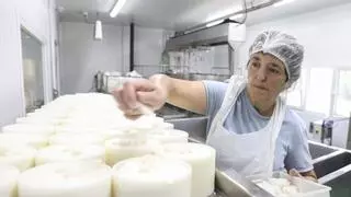 Rosa Sánchez, la cocinera de Onís que cambió los fogones del bar por una quesería de Gamonéu que atrae a visitantes de todo el mundo