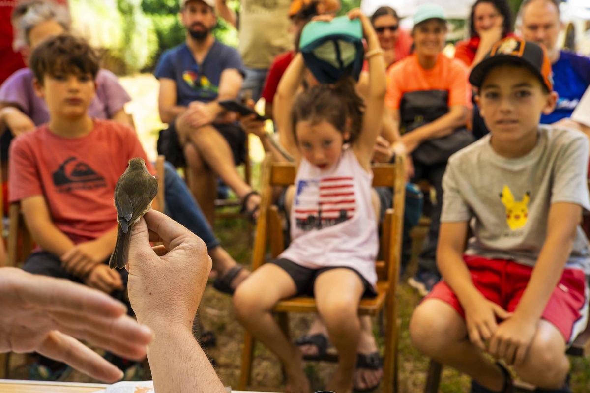 Les imatges de la Festa del Riu de Manresa