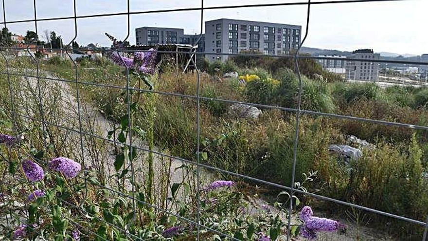 Una flor en una de las vallas colocadas en el parque ofimático con los nuevos edificios al fondo.