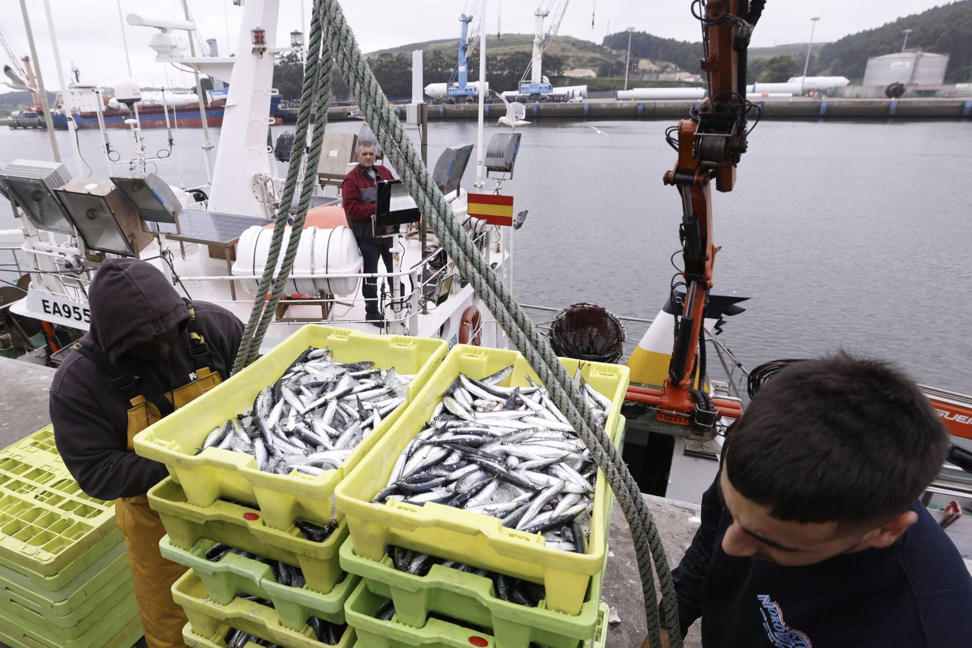 Ferrán Adrià, entre bonitos y bocartes, elogia la capacidad de Asturias de "innovar desde el mar"