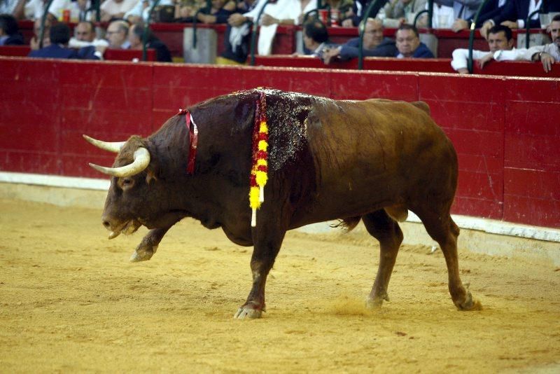 Quinta corrida de toros de las fiestas del Pilar