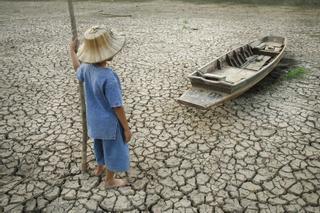 Las olas de calor simultáneas se multiplican por siete en treinta años