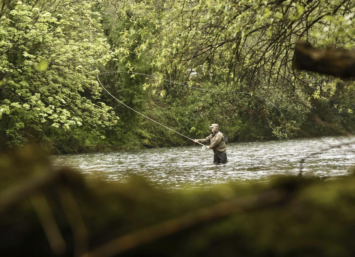 En la foto superior, un pescador, a la altura del puente de Láneo (Salas). A la derecha, arriba, Antonio Mediante pescando en el coto La Volta, del Eo. Debajo, Pablo  Pedregal en el Narcea. |  Miki López / T. C. / S. A.