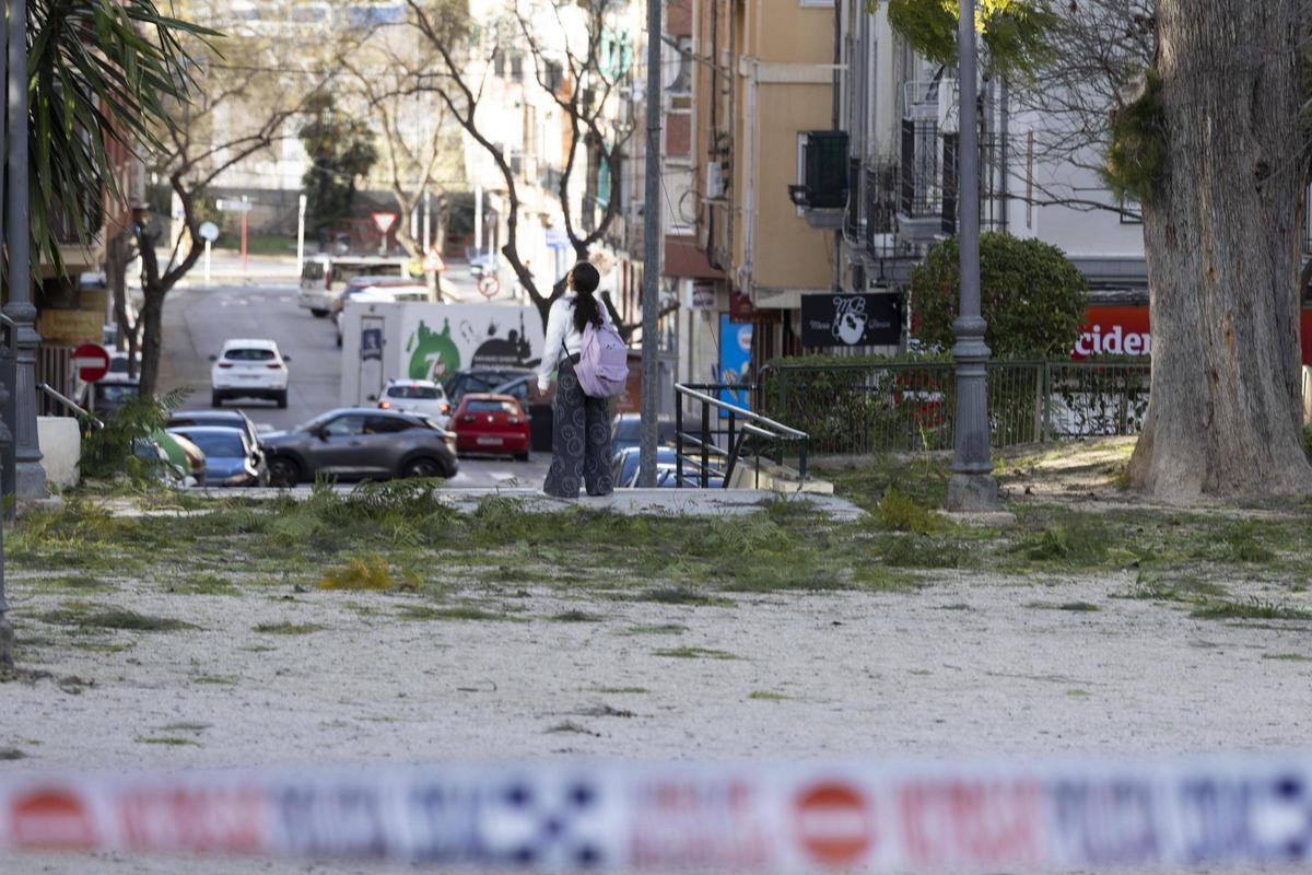 Ramas caídas en uno de los últimos episodios de viento en Xàtiva.