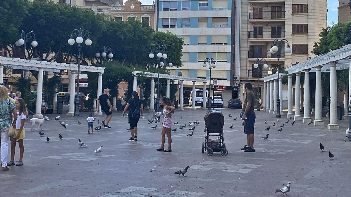 Las autoridades municipales toman medidas para atajar la situación