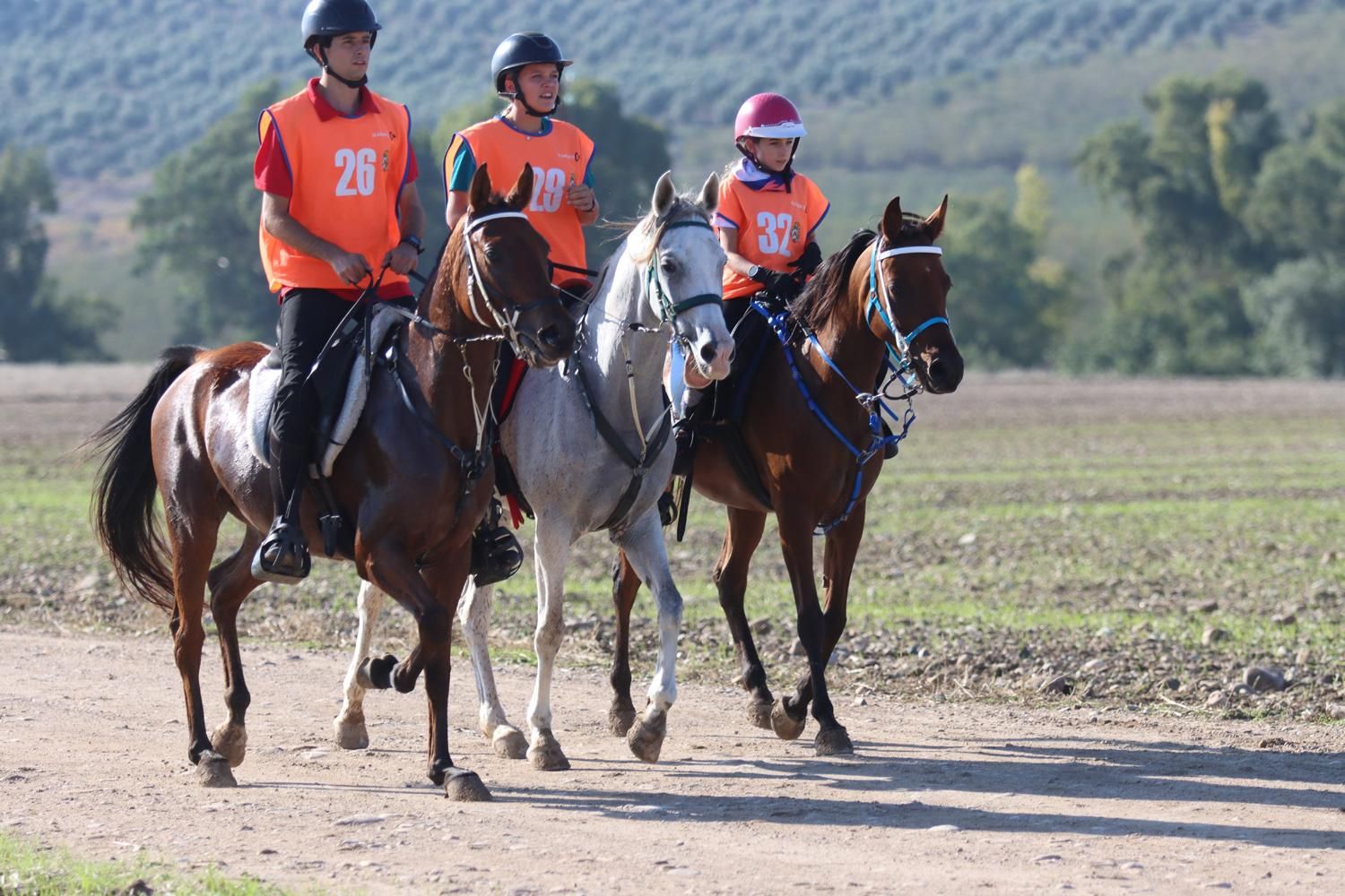 El Raid Hípico El Cañuelo, en imágenes