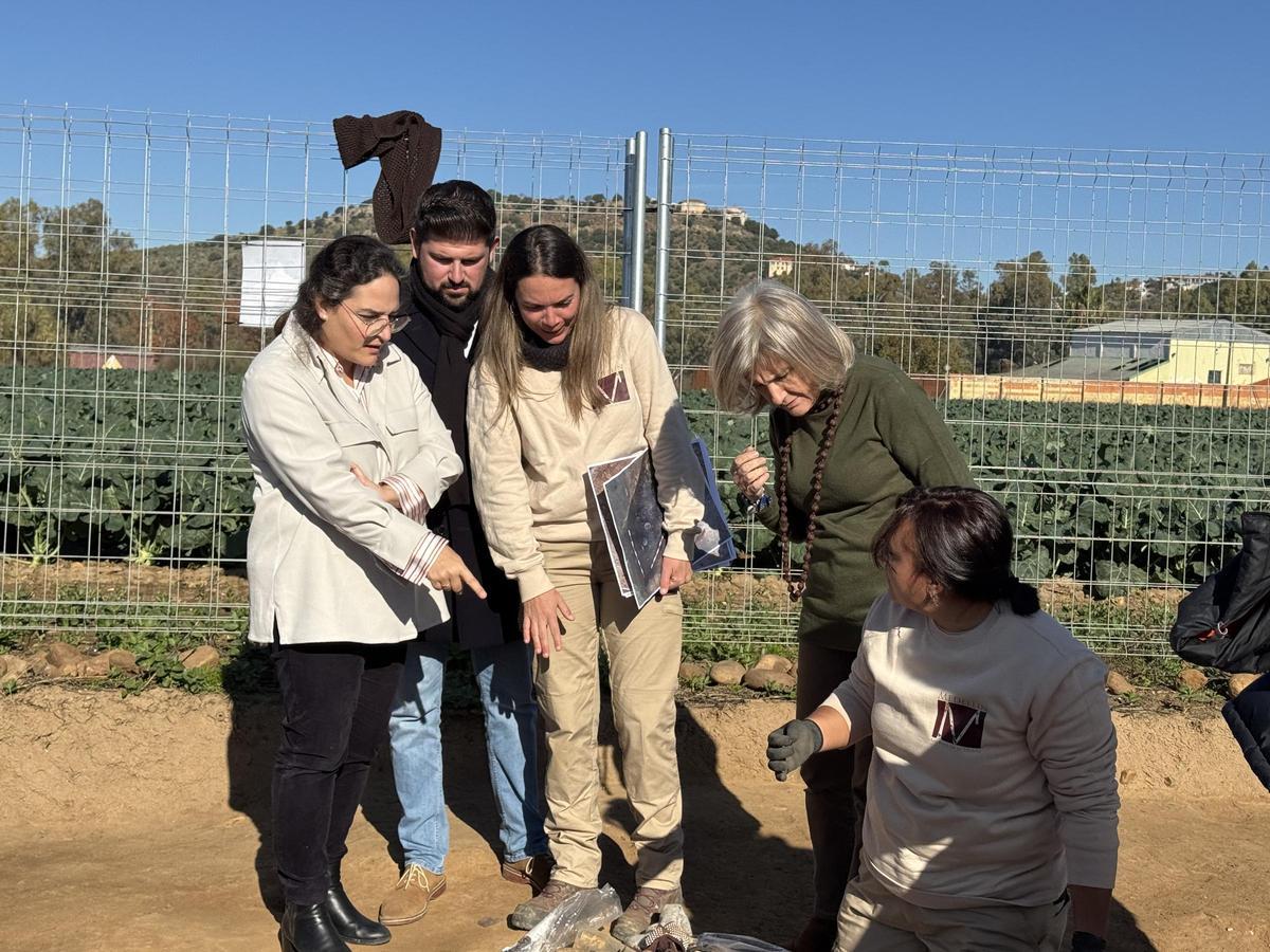 Visita de la consejera de Cultura, Victoria Bazaga, y el alcalde, Rafael Mateos, a la excavación .