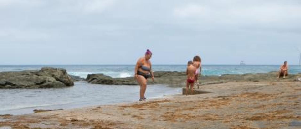 Concentración de algas pardas invasoras en las piscinas de  La Laja. | | ANDRÉS CRUZ