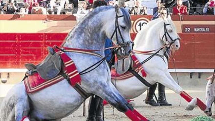 Vinaròs ensalza la figura del toro y del caballo el fin de semana