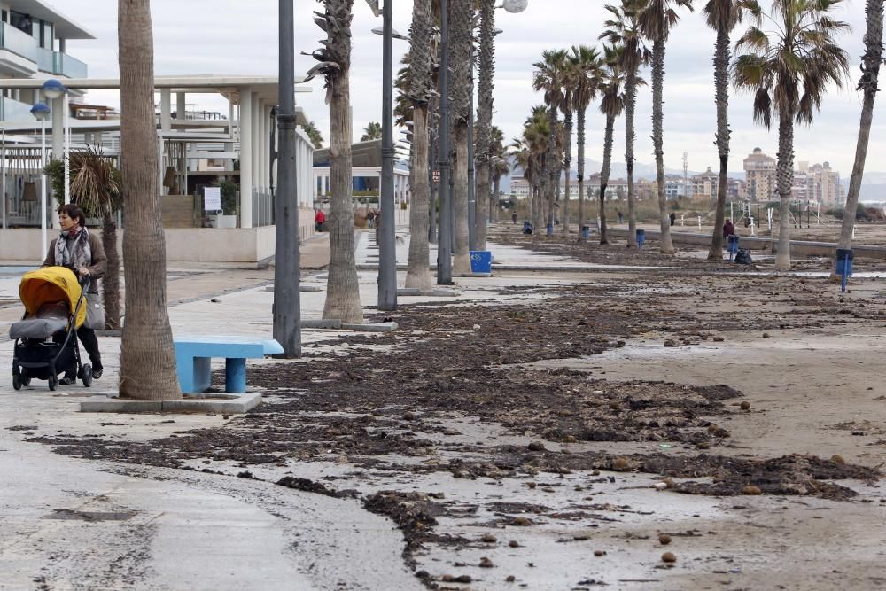 Destrozos en la playa de la Patacona