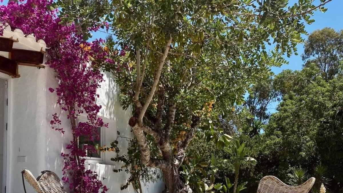 Rincón en Ibiza decorado por la diseñadora Cristina Tosio