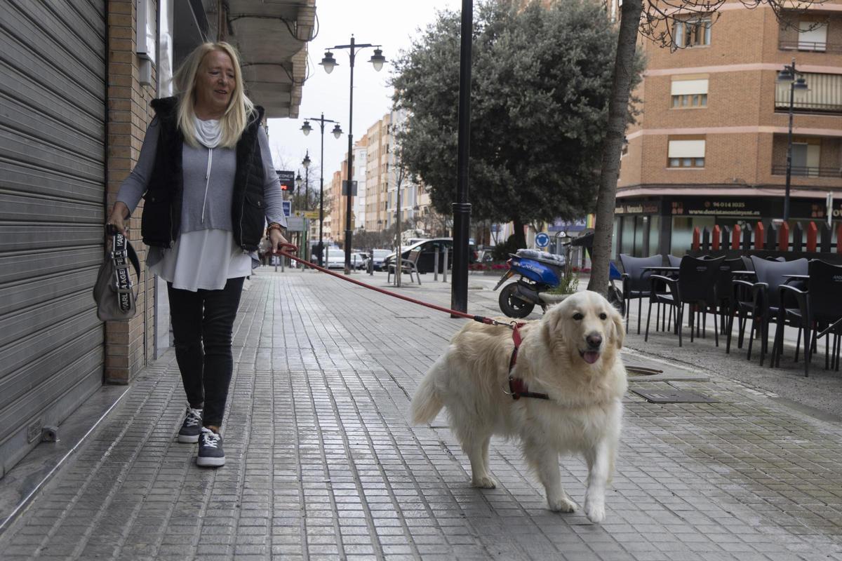 Más de 12.000 mascotas en Ontinyent Más de 12.000 mascotas en Ontinyent