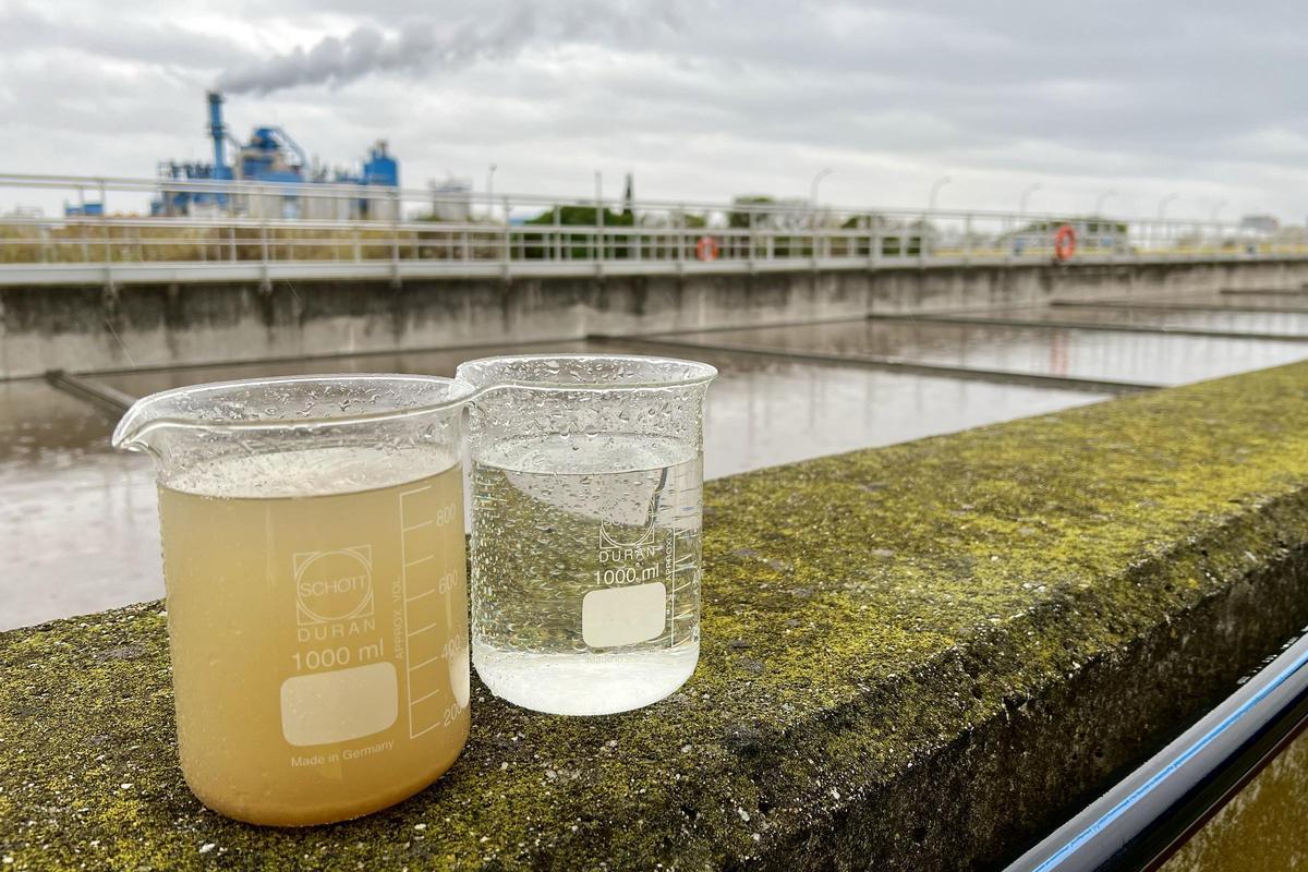 Muestra del agua residual que llega a la depuradora de Mataró y de cómo queda después del proceso de regeneración