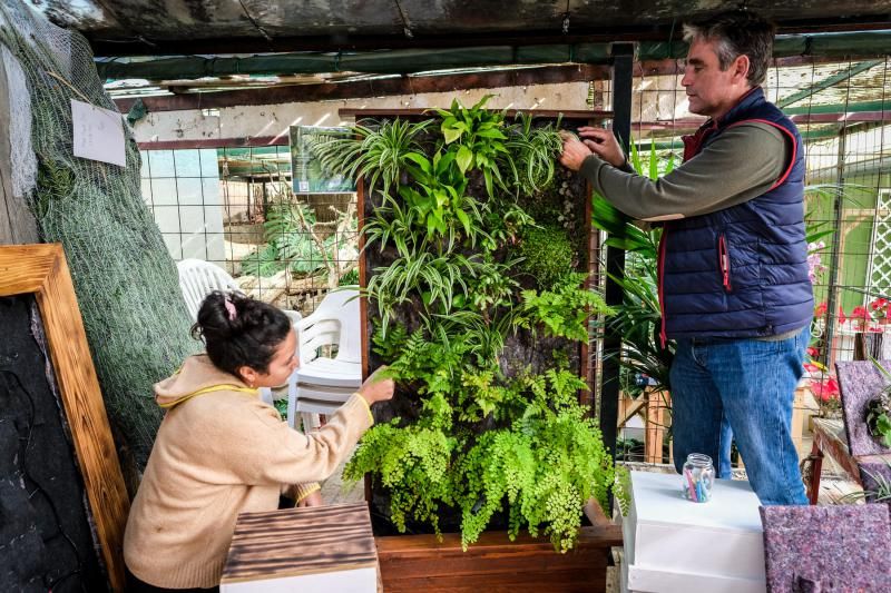 Ganador de Greenweekend Canarias, Pulmón Verde Canario