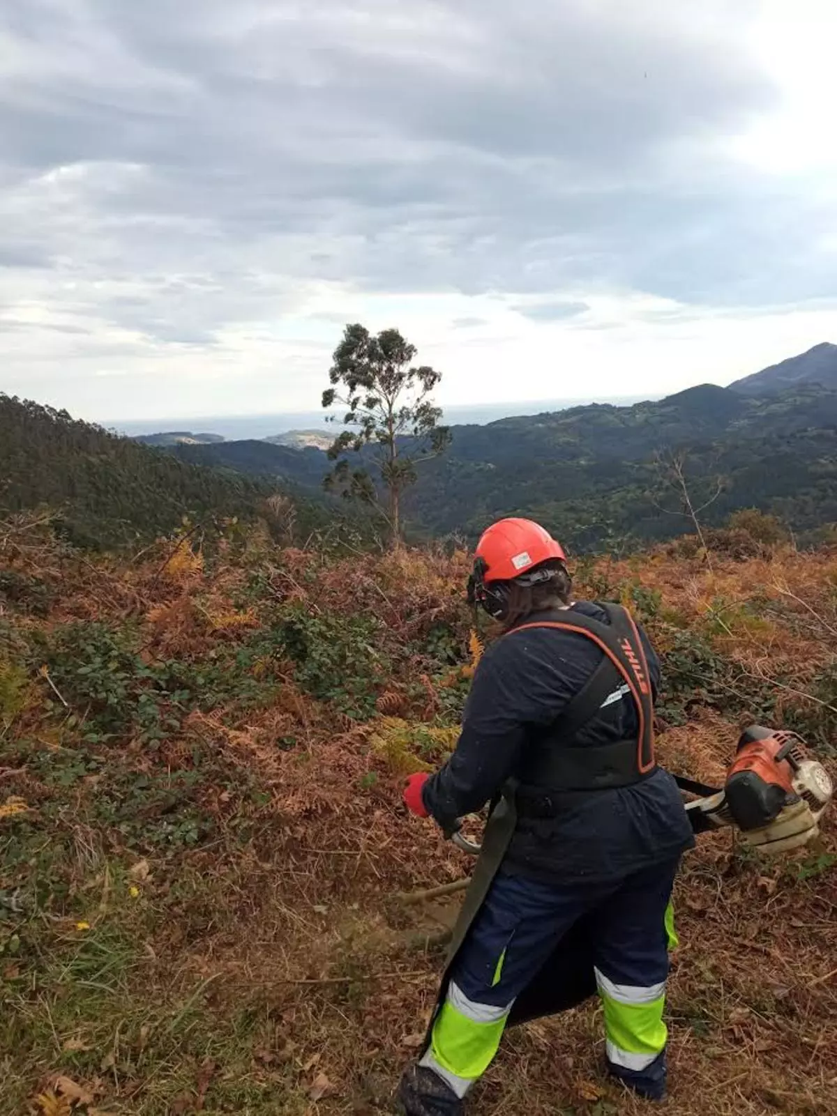 Villaviciosa contratará a ocho personas desempleadas en un nuevo plan de empleo y de contratación en prácticas: estos son los perfiles y las condiciones