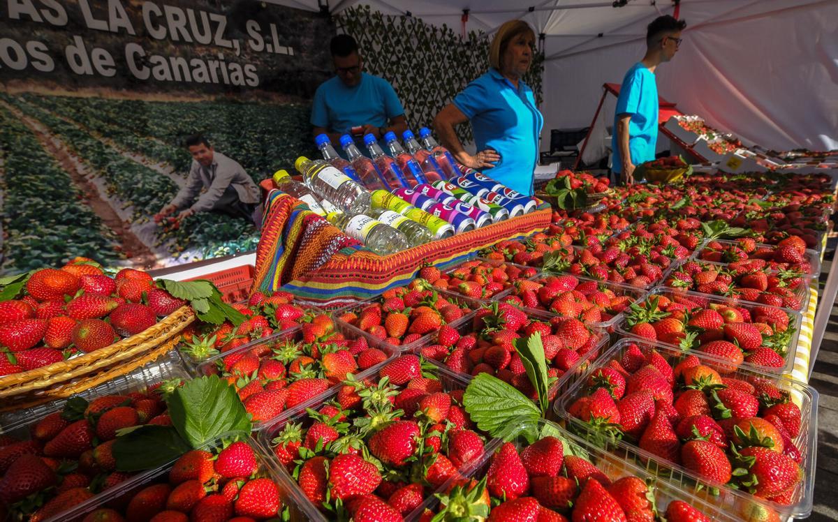 XI Feria de la Fresa, en Valsequillo
