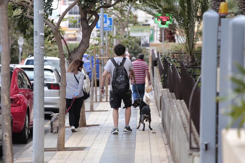 Reportaje: Gente con mascotas