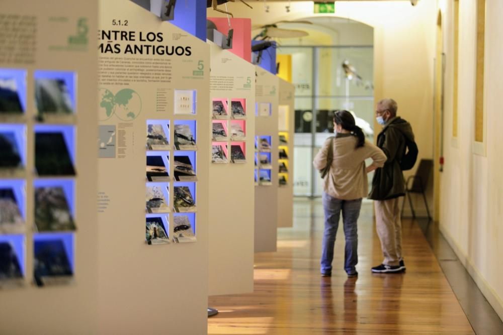 Los museos celebran su día internacional