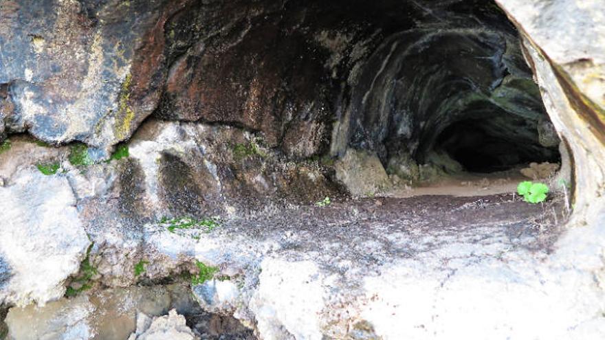 Los grabados de la Cueva del Agua se digitalizarán ante su grave deterioro  - El Día