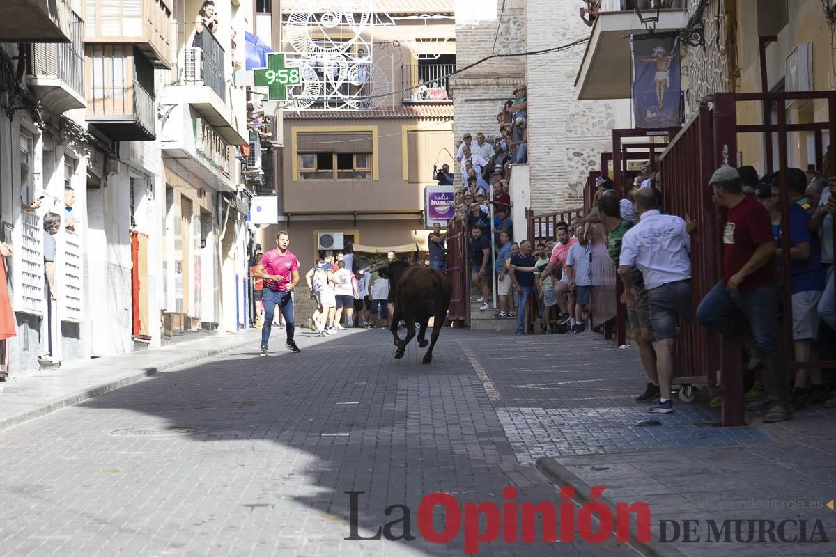 Cuarto encierro en las Fiestas de Moratalla