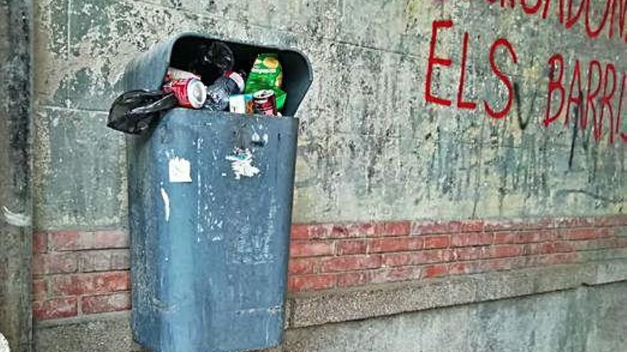 Brutícia i pintades a la Sagrada Família