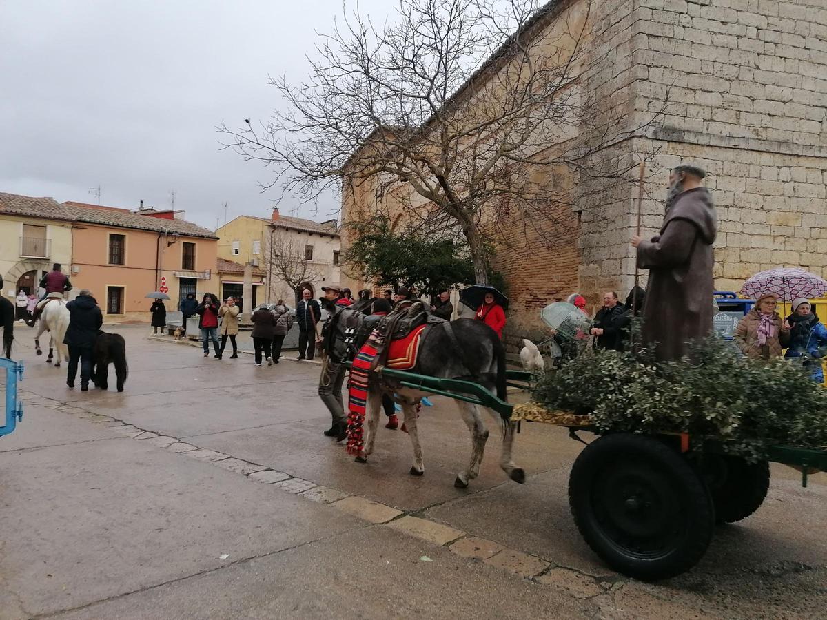 GALERÍA | San Antón procesiona por primera vez en Toro