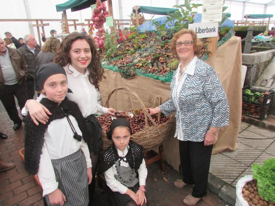 Certamen de la castaña en Arriondas