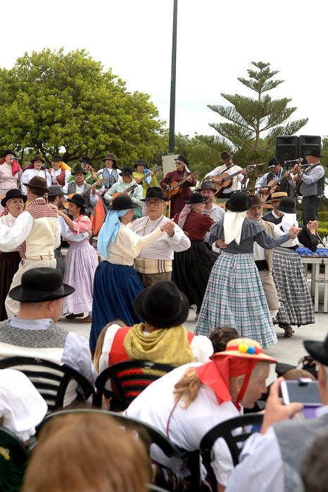 CELEBREACION DIA DE CANARIAS TELDE