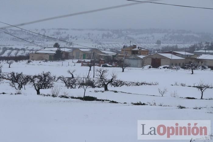 Nieve en Coy y Avilés (Lorca)