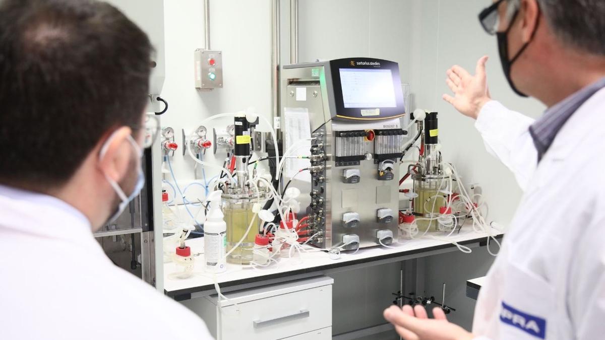 El president de la Generalitat, Pere Aragonès, d'esquenes aquest 17 de gener del 2022 durant la visita als laboratoris Hipra d'Amer (Horitzontal)