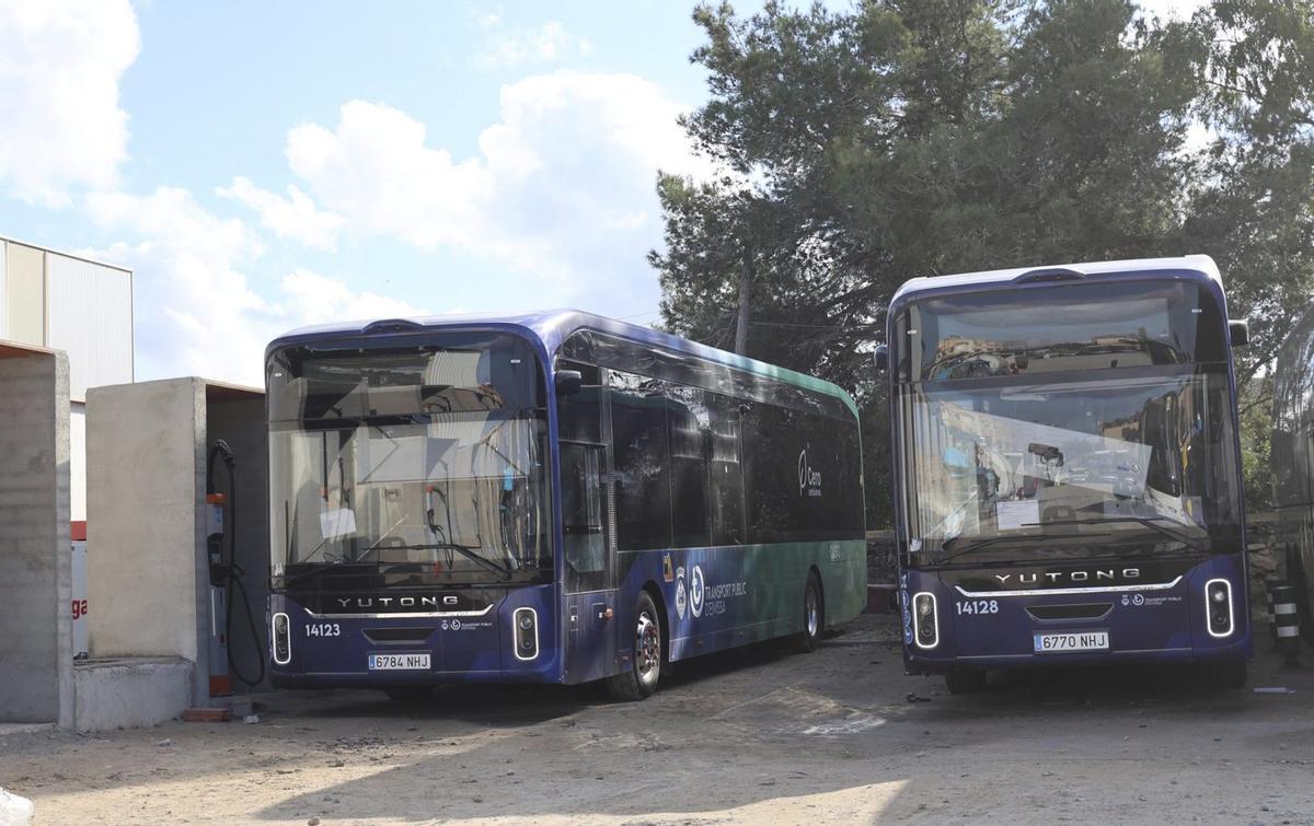 Dos de los nuevos autobuses eléctricos de la nueva contrata. | J.A. RIERA