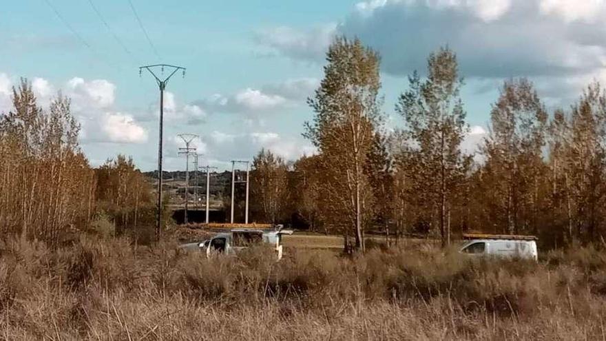 Trabajos de reparación del tendido eléctrico averiado por la caída de un chopo.