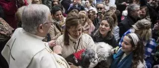 VÍDEO | Don Ceferino de las Heras, cura de San Juan, bendice a las mascotas de Cáceres