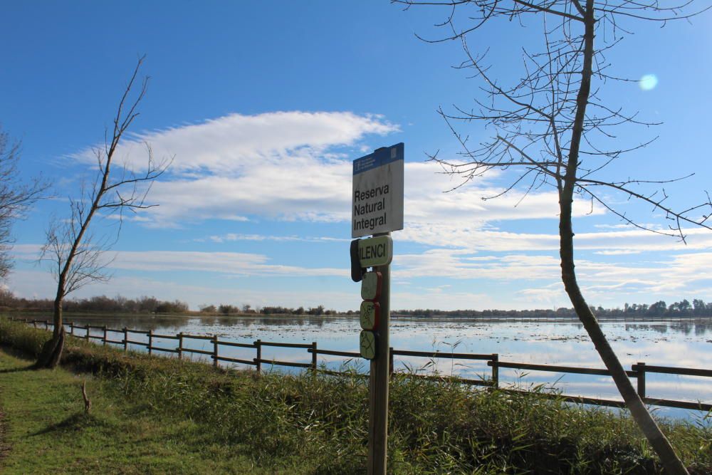 Els Aiguamolls de l''Empordà fan honor al seu nom