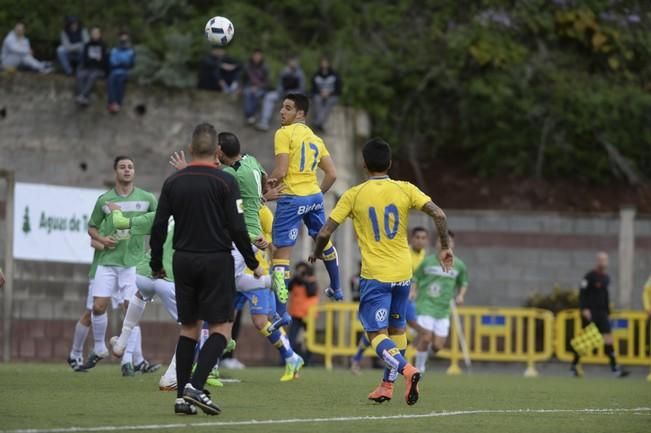 UD TEROR - UDLP