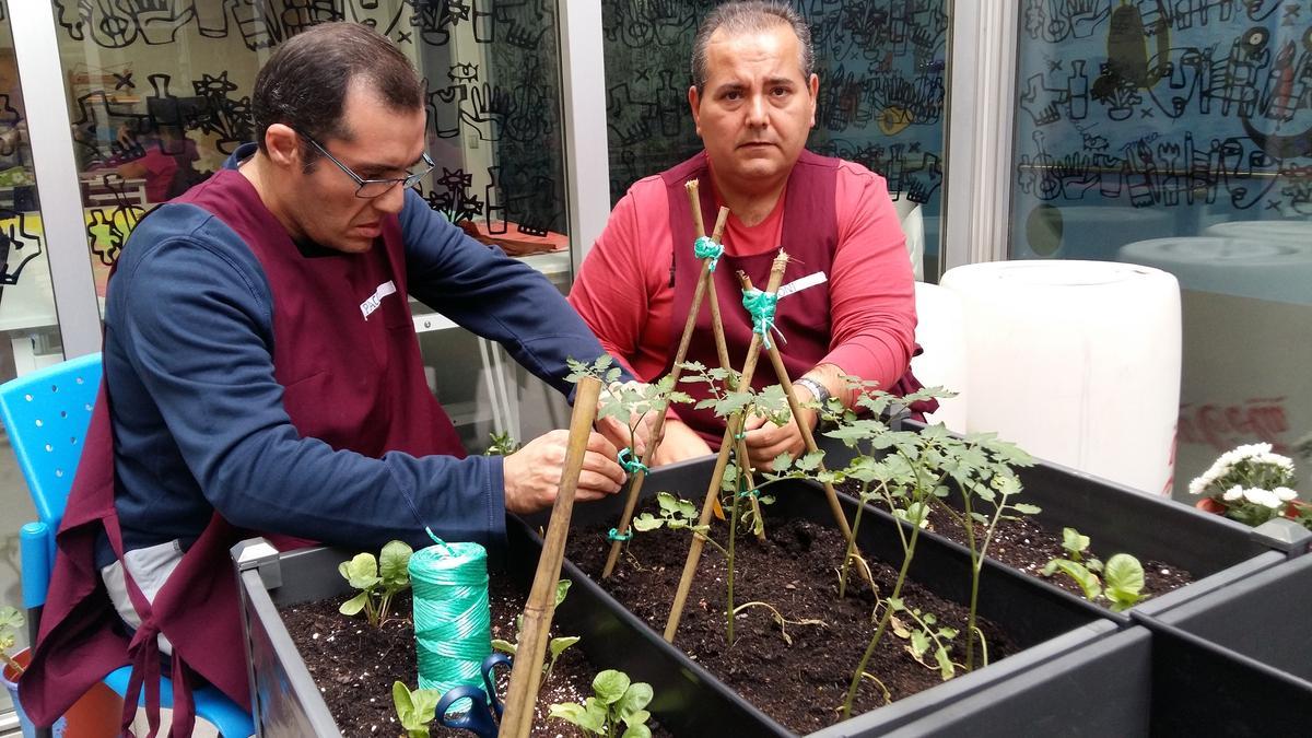 Imagen de archivo de un taller ocupacional para personas con DCA