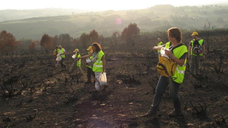 Voluntarios, durante una siembre. // Adega