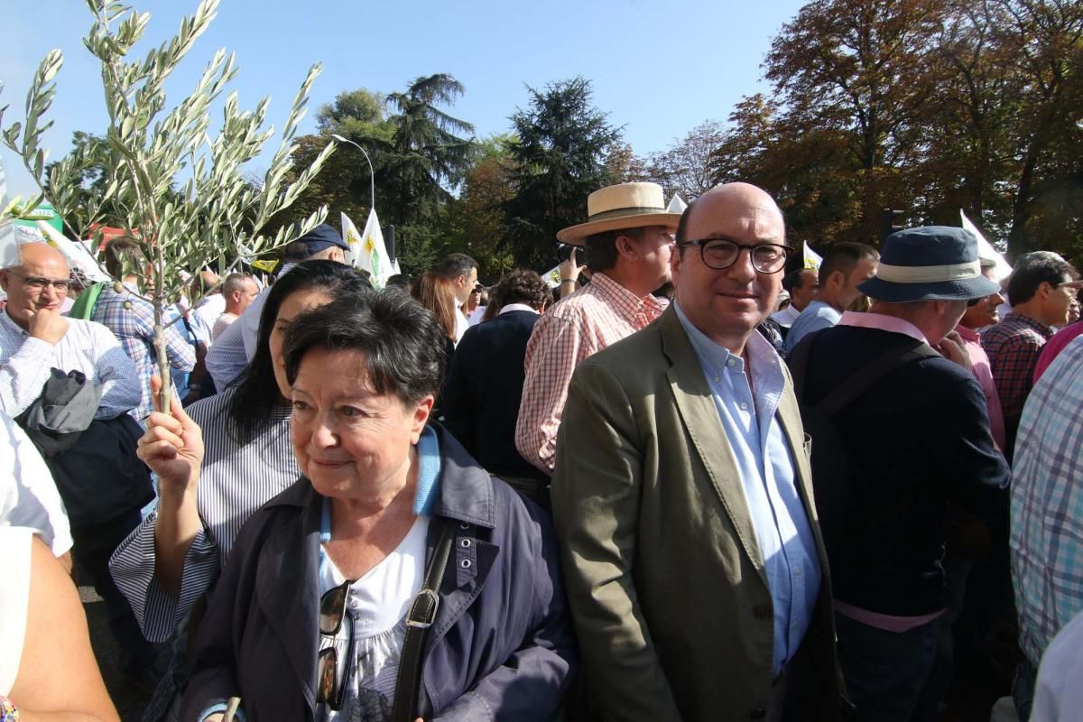 Córdoba se suma a la gran manifestación del olivar en Madrid