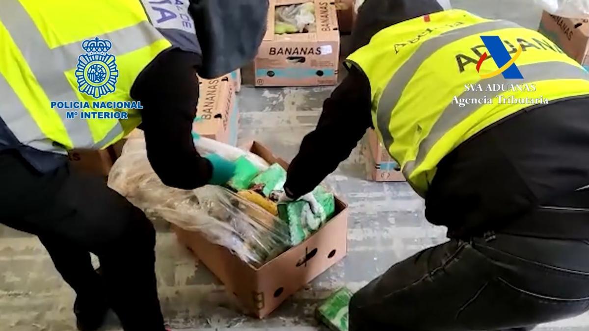 Vídeo del operativo en 2023 en el que se interceptaron 650 kilos de cocaína ocultos entre plátanos en el puerto de Vigo