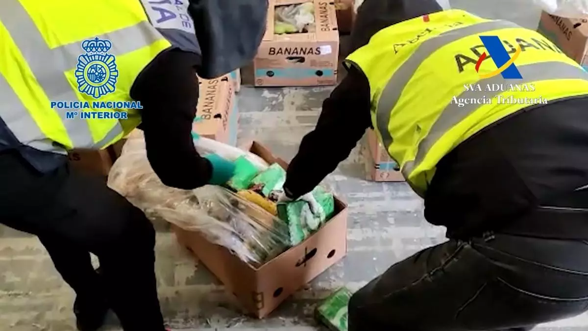 La Audiencia de Pontevedra condena a cuatro acusados de introducir 651 kilos de cocaína en palés de bananas por el puerto de Vigo