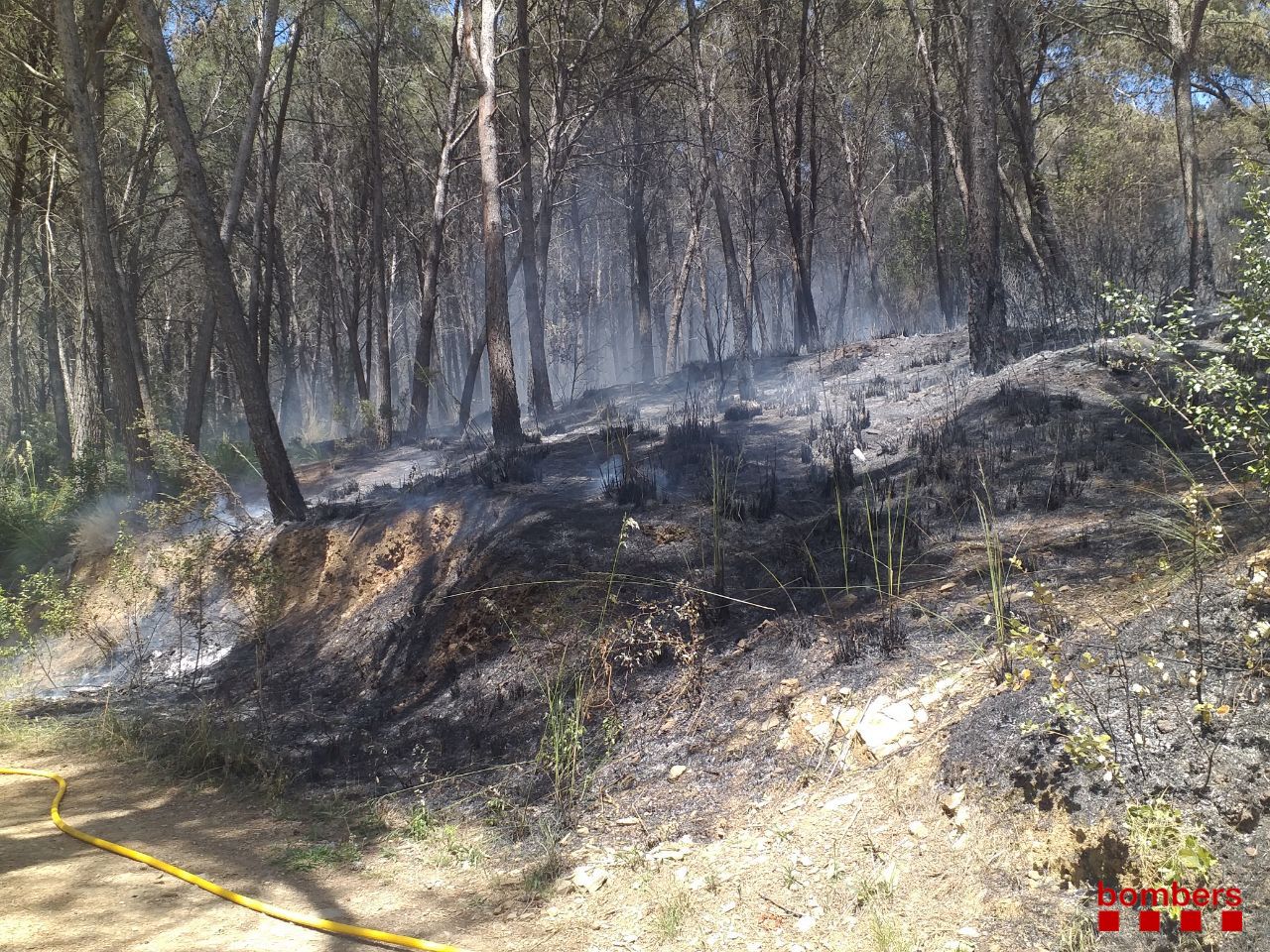 Un incencio quema 6.000 metros cuadrados en Gavà