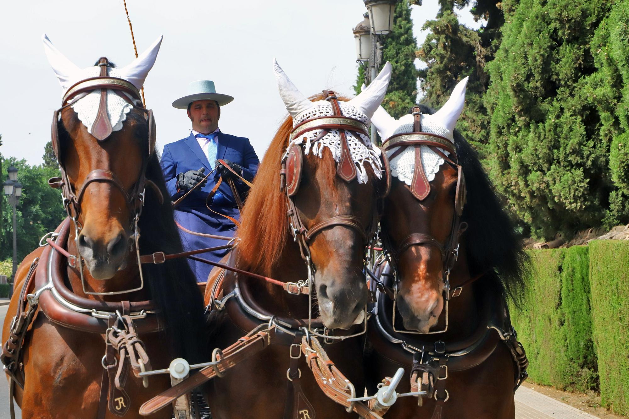 Una treintena de carruajes exhiben calidad y tradición en la Feria