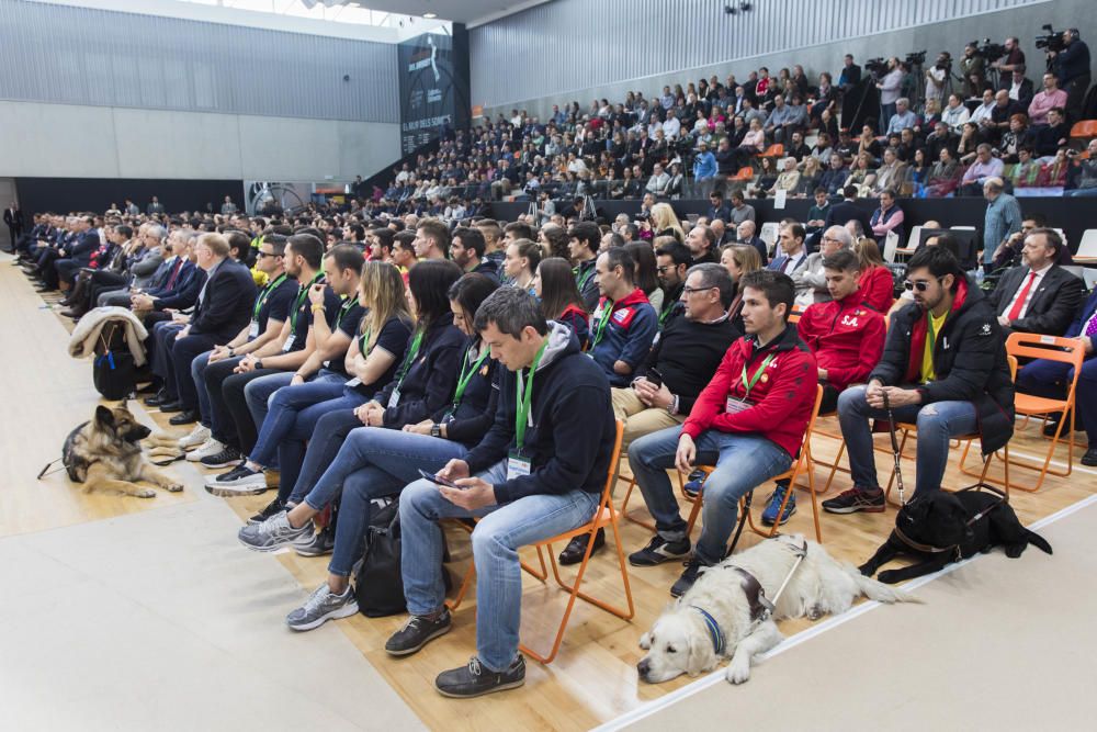 Juan Roig presenta el proyecto FER