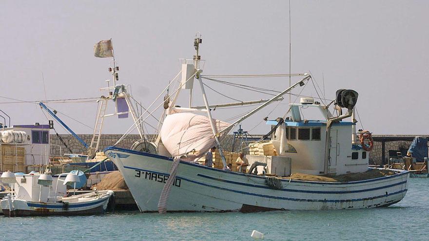 Barcos pesqueros en el puerto de Caleta de Vélez.
