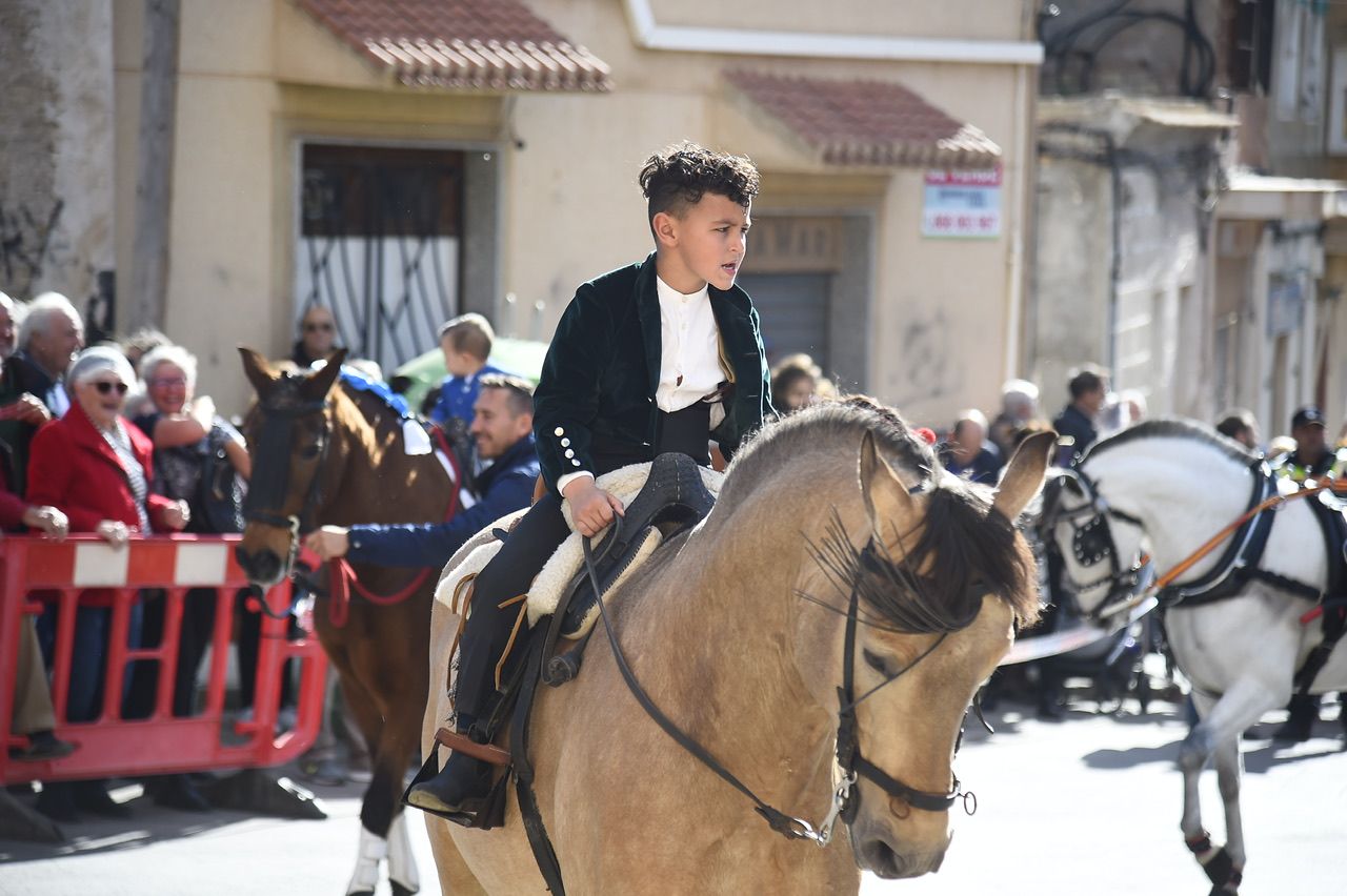 Bendición de animales por San Antón en Cartagena